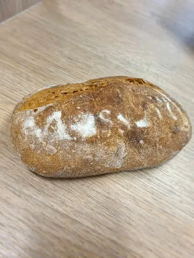 Petit épeautre 